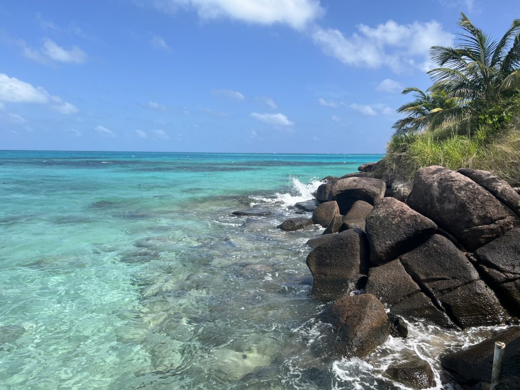 Grace a votre Travel Planner découvrez quand partir pour visiter ce paysage tropical d'eau turquoise et de palmier.